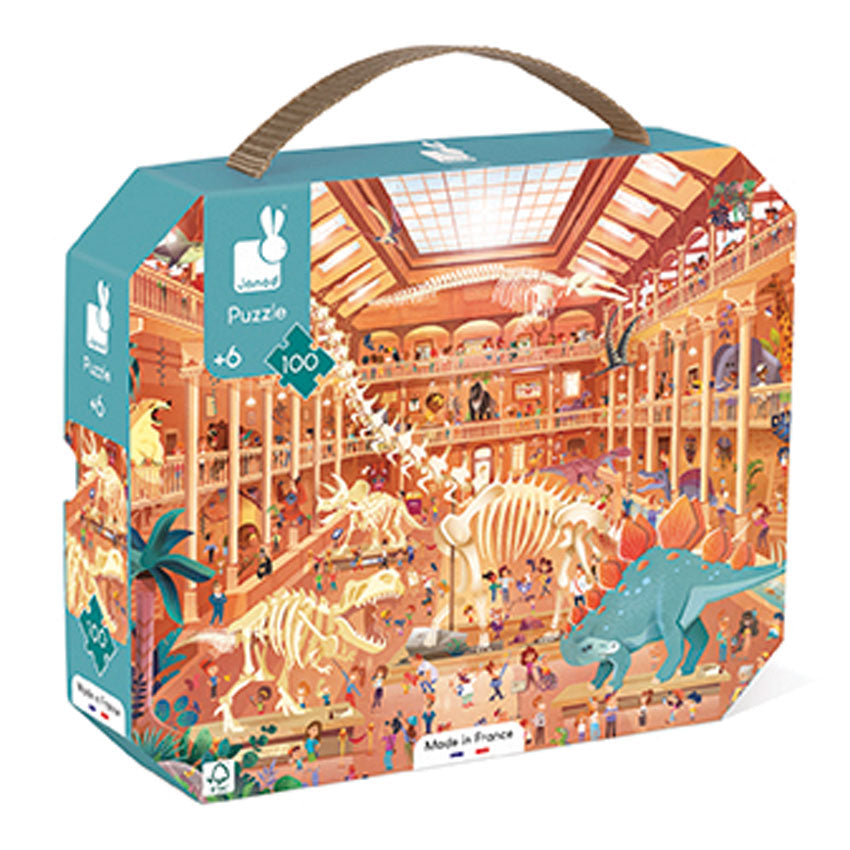 Natural History Museum Suitcase Puzzle