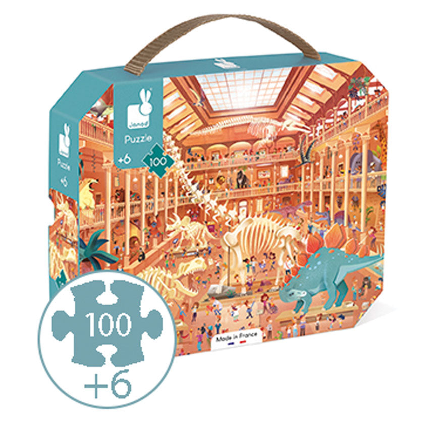 Natural History Museum Suitcase Puzzle