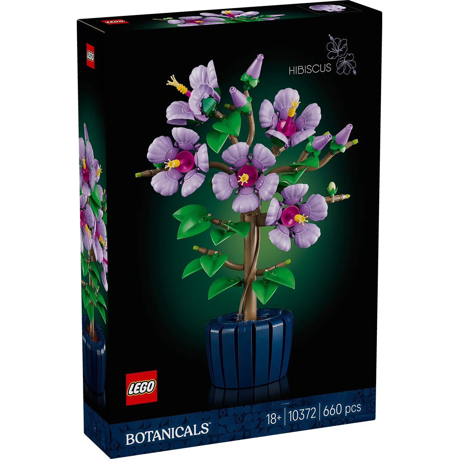 Botanical Collection - Hibiscus (10372)
