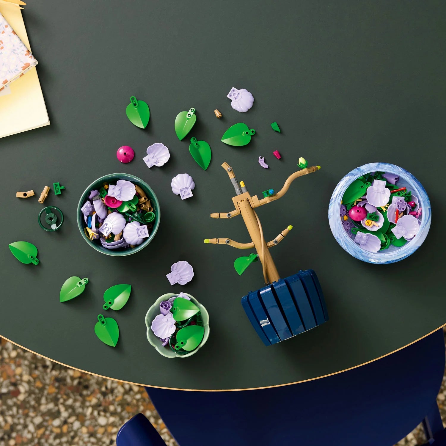 Botanical Collection - Hibiscus (10372)