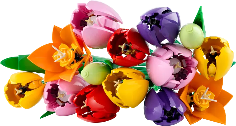 Botanical Collection - Tulip Bouquet (11501) - Toot Toot Toys