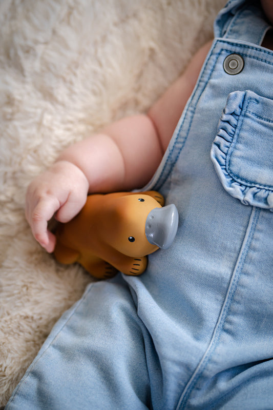 My First Aussie Animals - Platypus