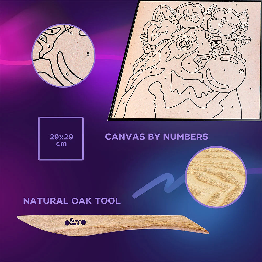 Raccoon Colouring With Clay Set