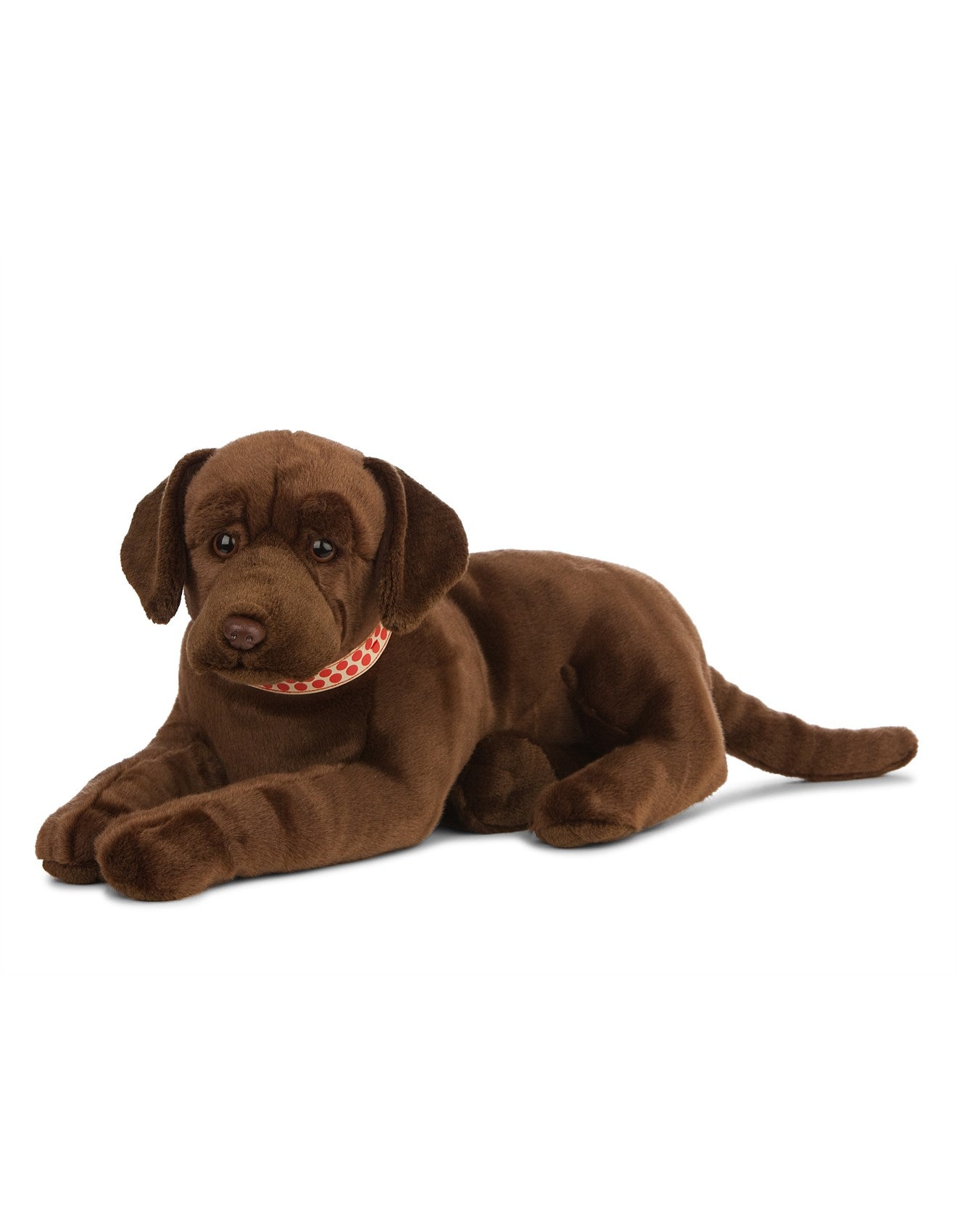 Giant Chocolate Labrador