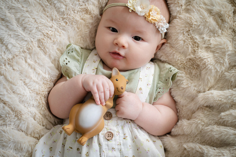 My First Aussie Animals - Kangaroo