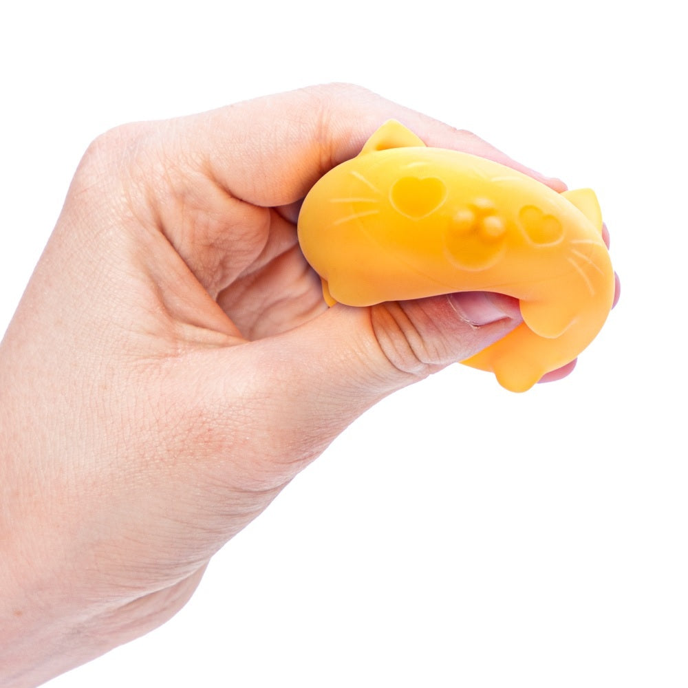 Teenie NeeDoh - Cool Cats - Assorted