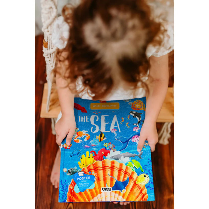 What, How, Why - The Sea Book and Poster