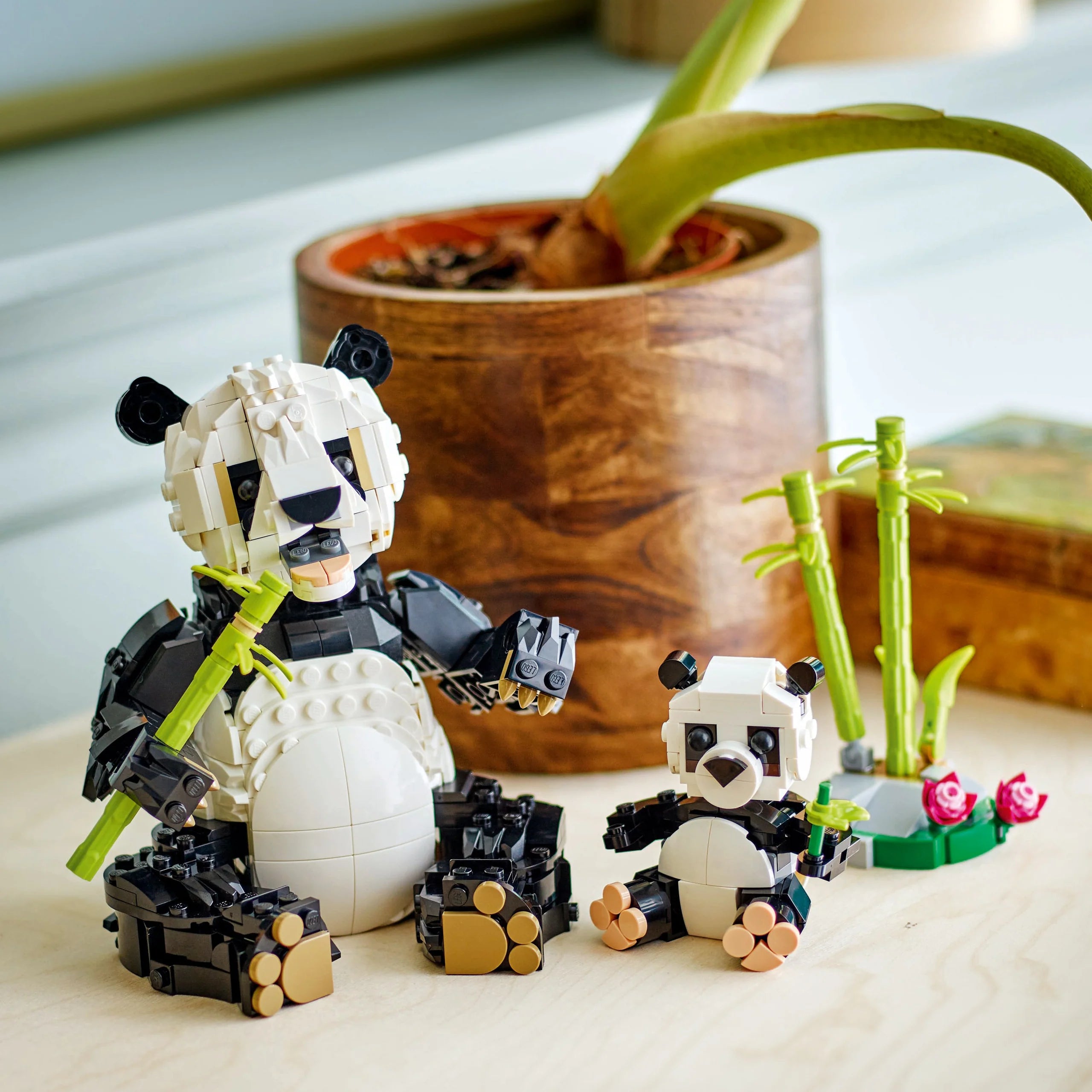 Creator 3-in-1 - Wild Families: Panda Family (31165)