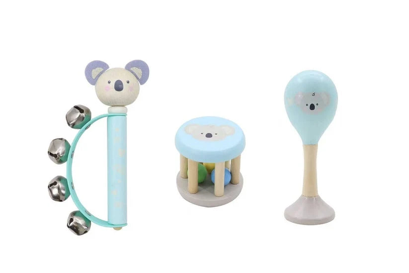 Baby Rhythm & Play Music Set