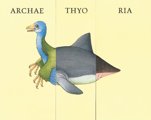 Flip-O-Saurus Board Book