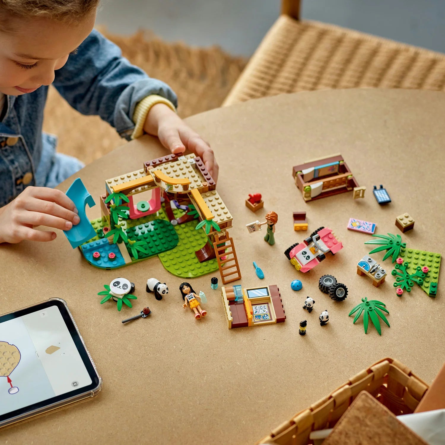 Friends - Panda Sanctuary Animal Care (42648)