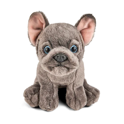 French Bulldog Puppy - Grey