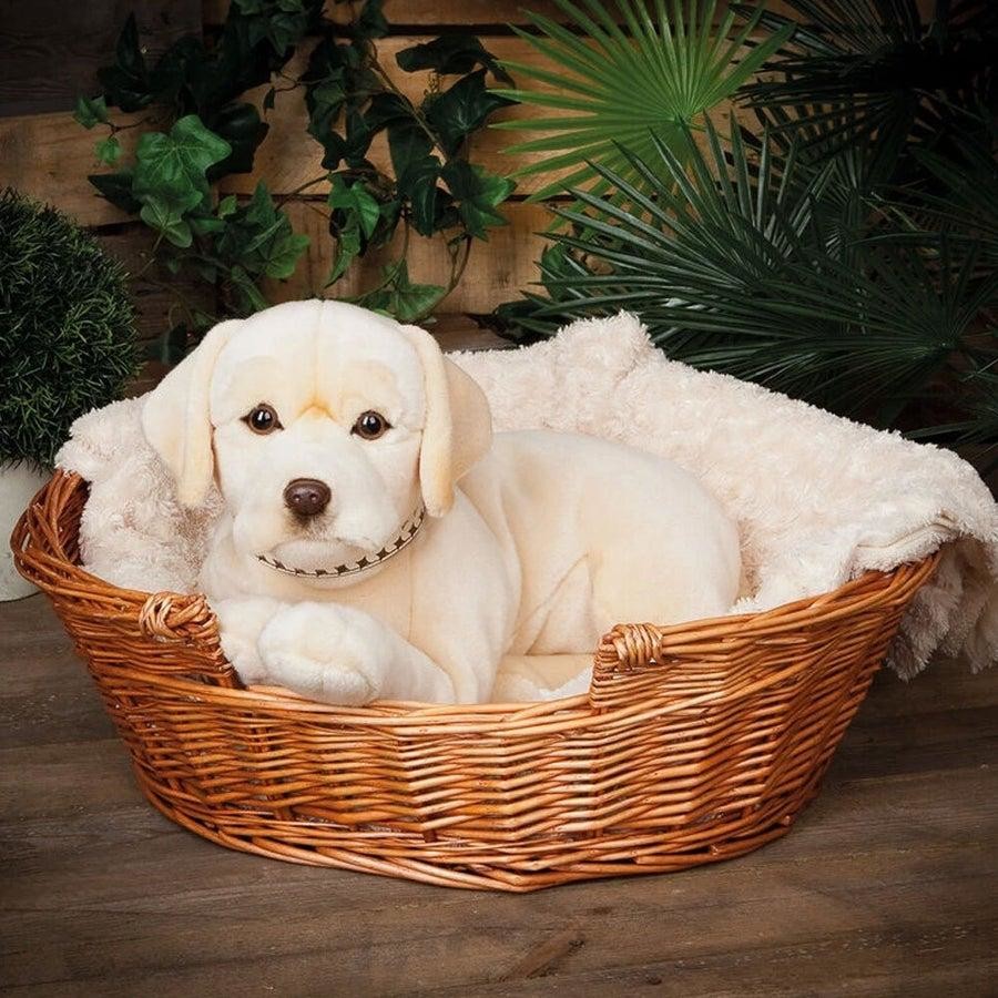 Giant Golden Labrador