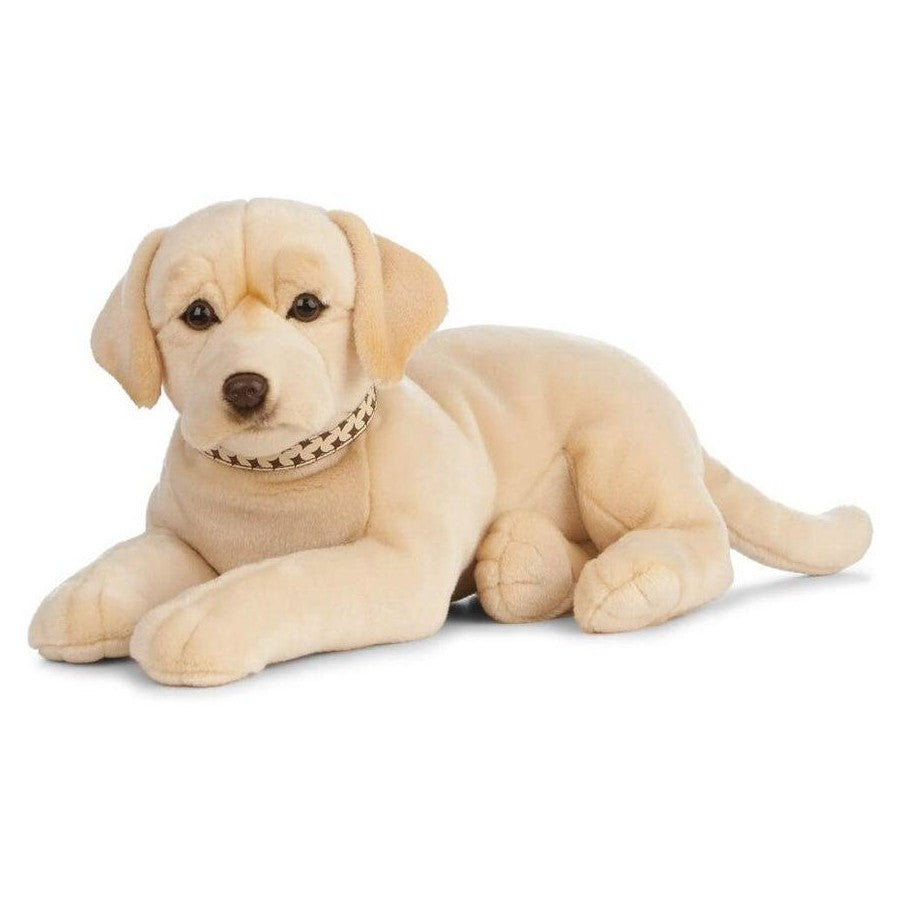 Giant Golden Labrador