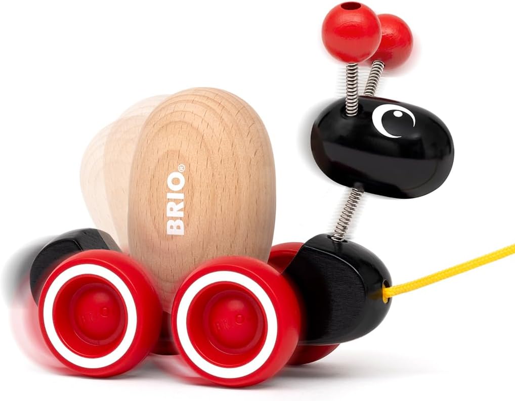 Pull Along Ant with Rolling Egg