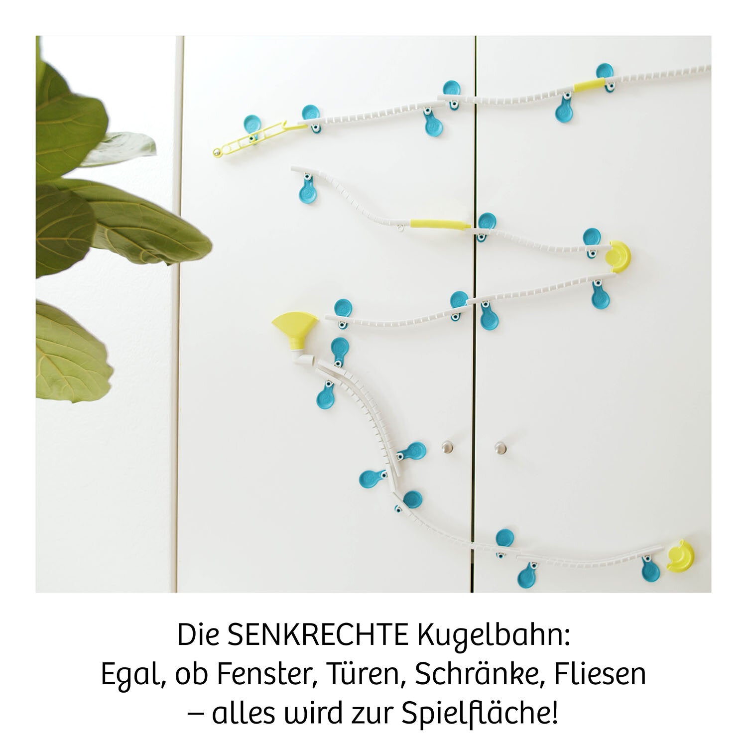 Gecko Run Starter Kit