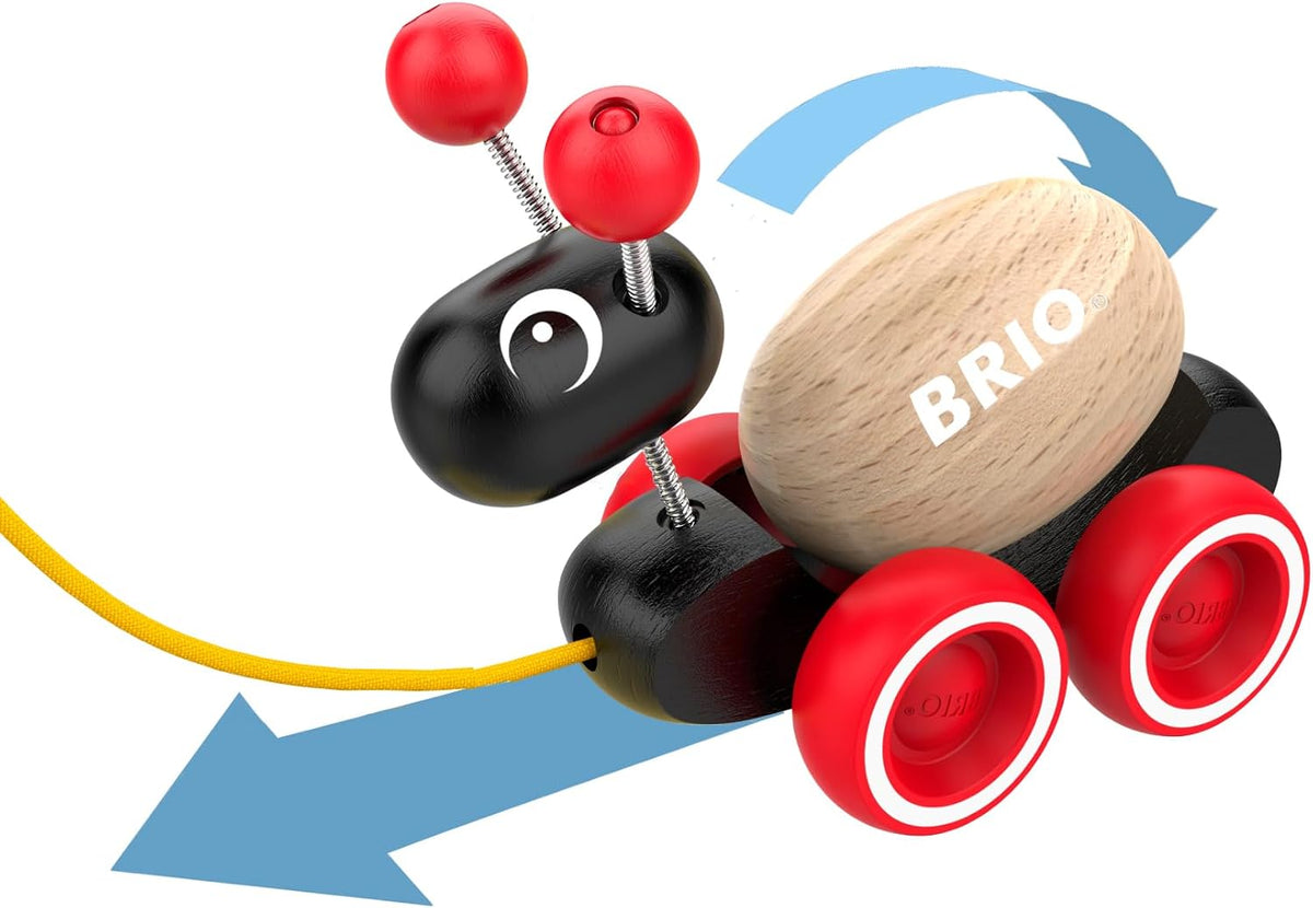 Pull Along Ant with Rolling Egg