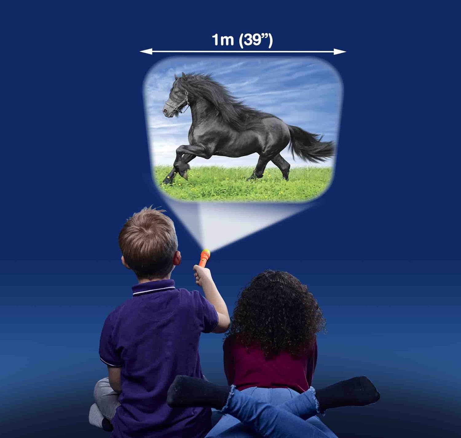 Horse Torch and Projector