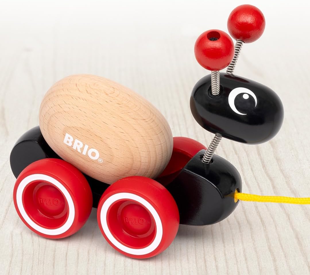 Pull Along Ant with Rolling Egg
