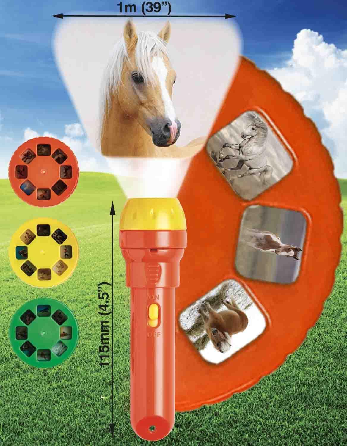 Horse Torch and Projector