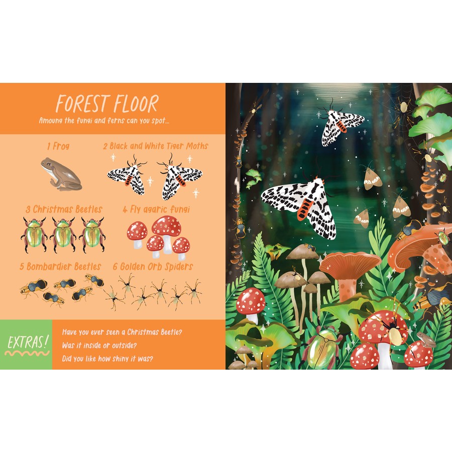 Nocturnal Creatures: Search and Find