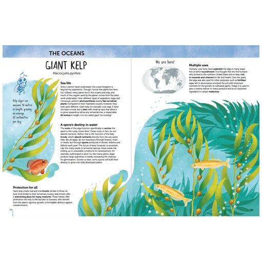 Atlas of Biodiversity - Flora of the World