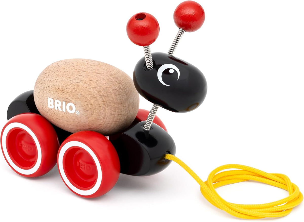 Pull Along Ant with Rolling Egg