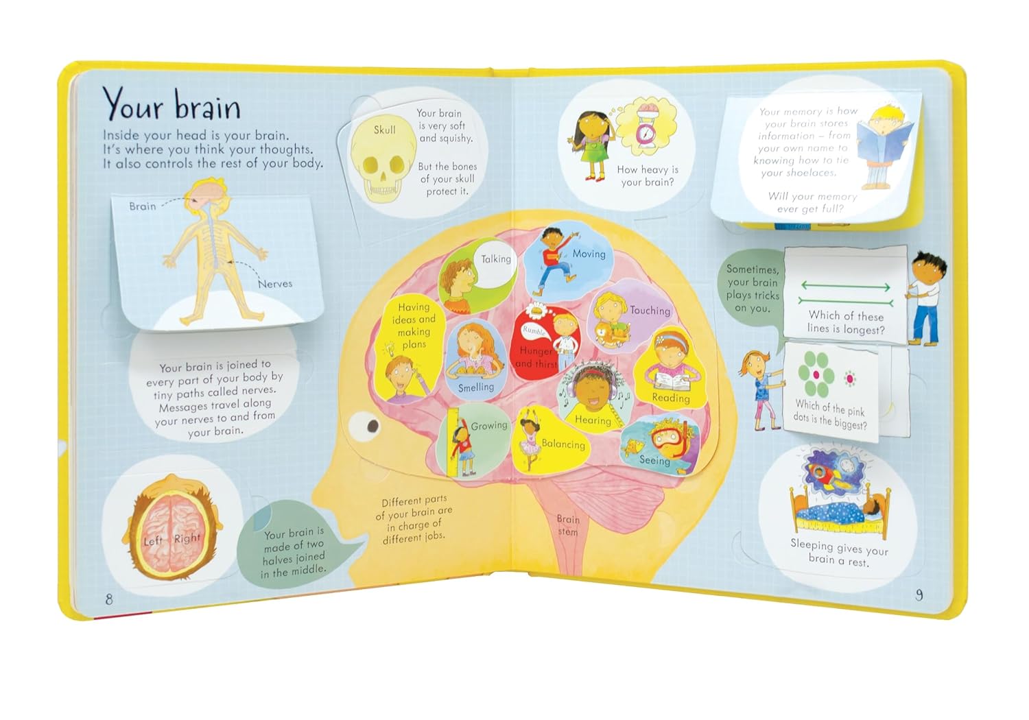 Look Inside Your Body - Lift The Flap