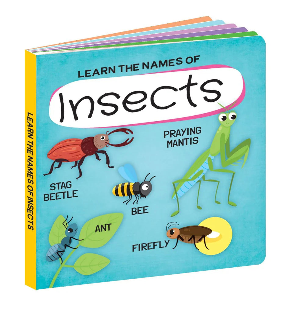 3D Puzzle & Book Set - Learn the Names of Insects