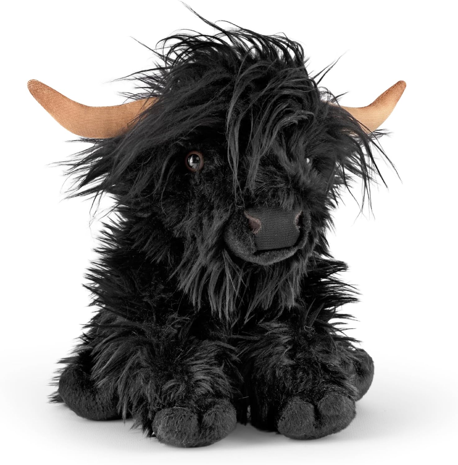 Black Highland Cow