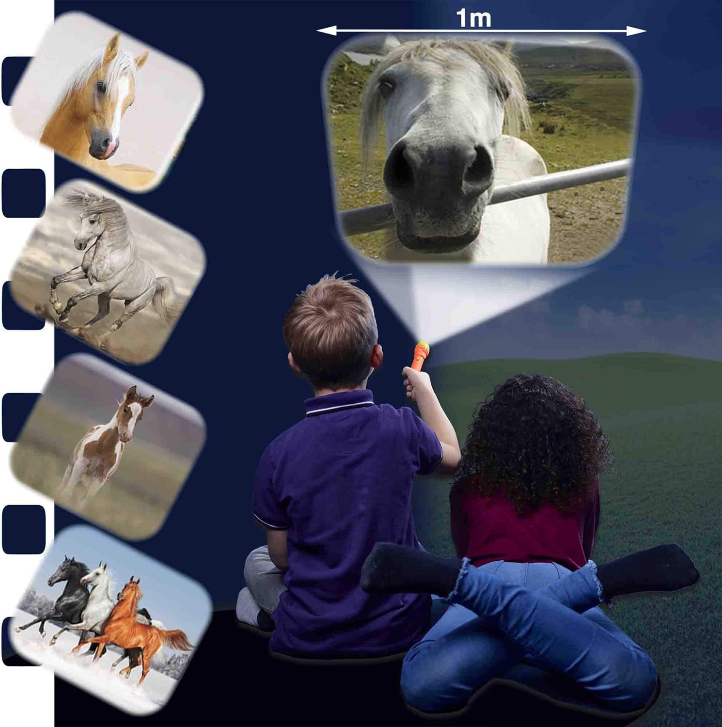 Horse Torch and Projector