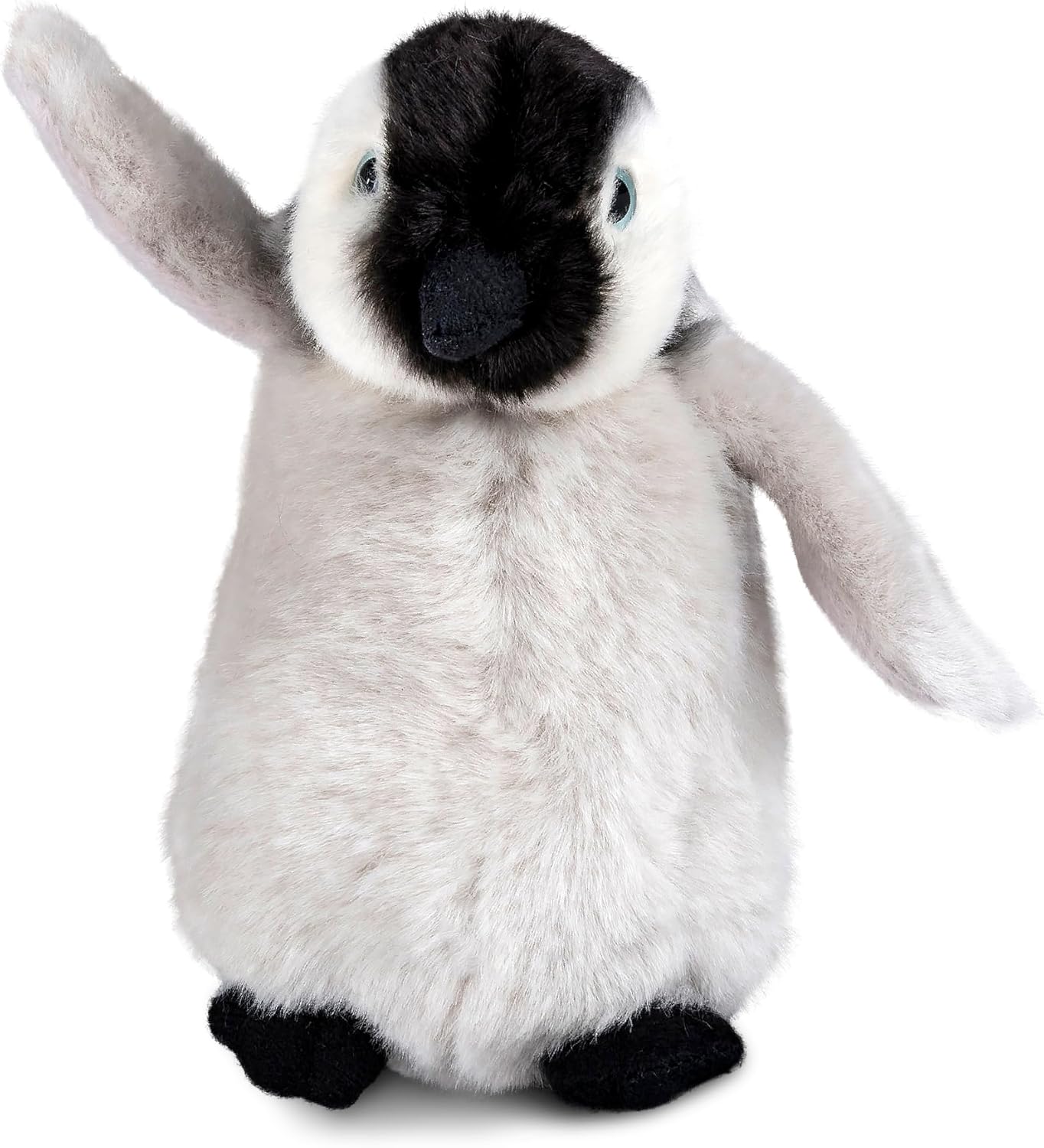 Penguin Chick