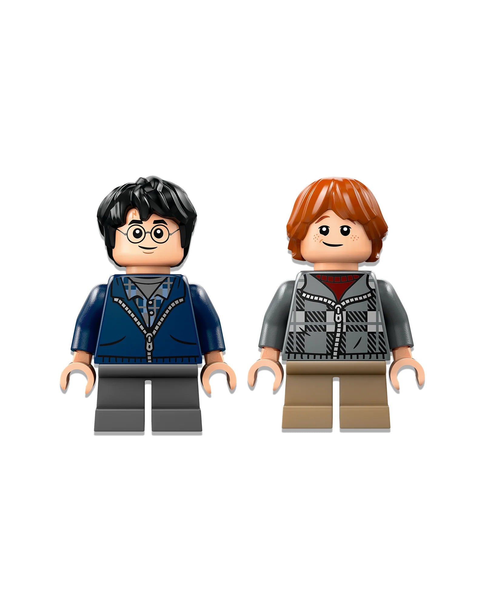 Harry Potter™ - Aragog in the Forbidden Forest (76434)