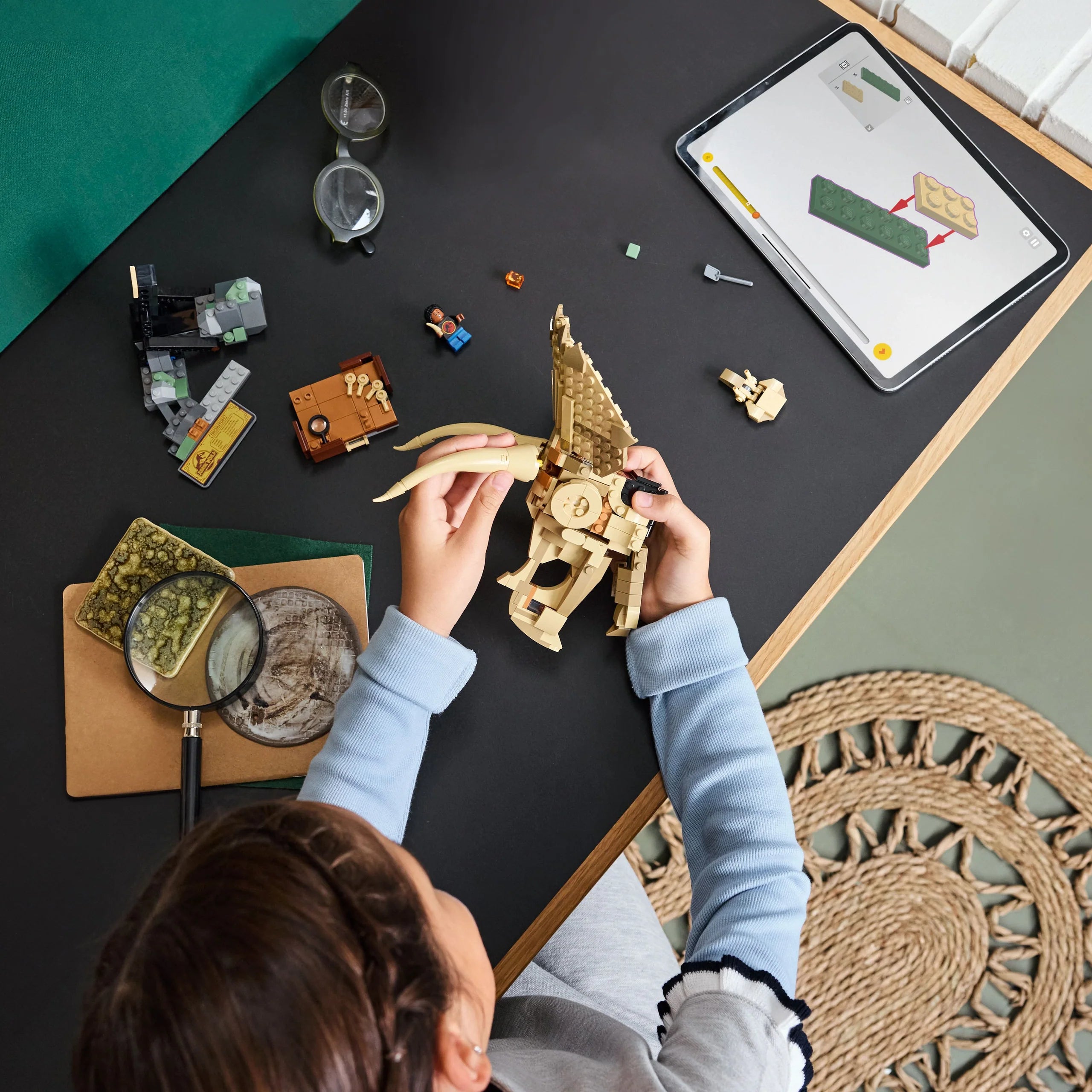 Jurassic World™ - Dinosaur Fossils: Triceratops Skull (76969)