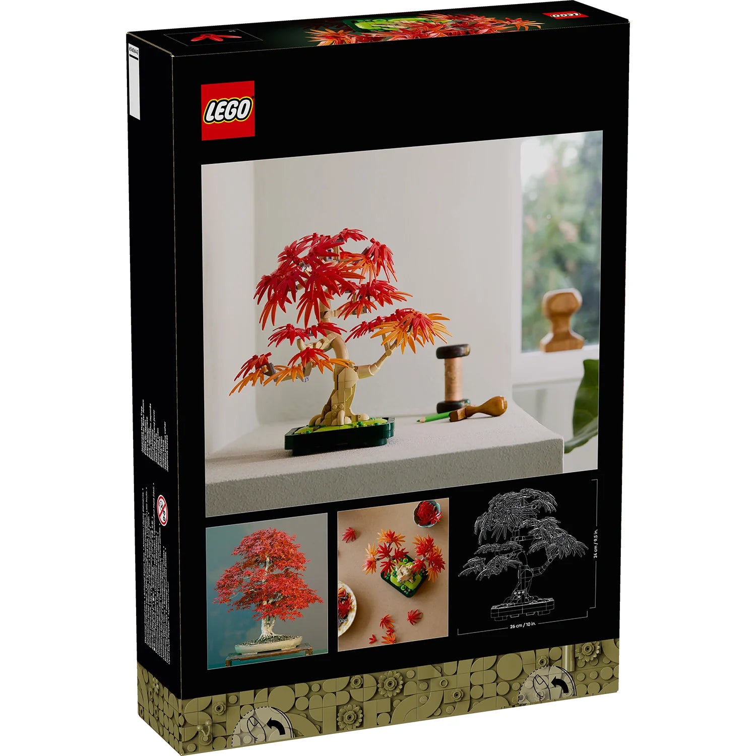 Botanical Collection - Japanese Red Maple Bonsai Tree (10348)