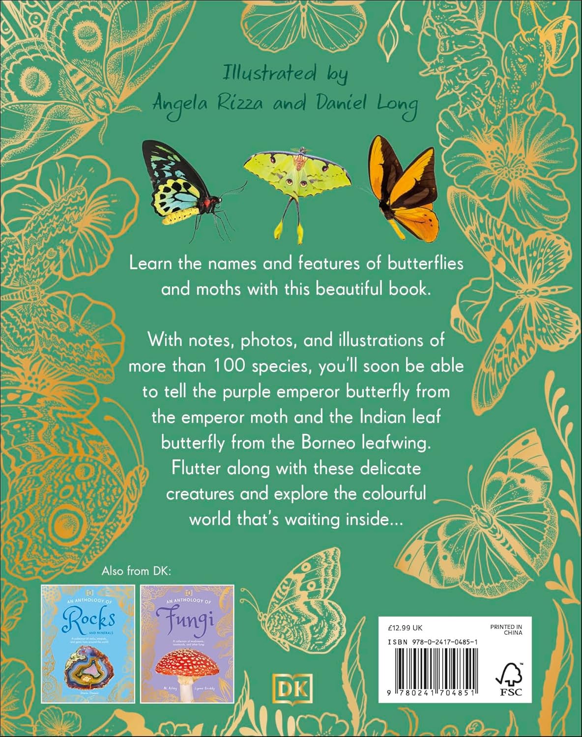 An Anthology of Butterflies and Moths: A Collection of Butterflies and Moths from Around the World
