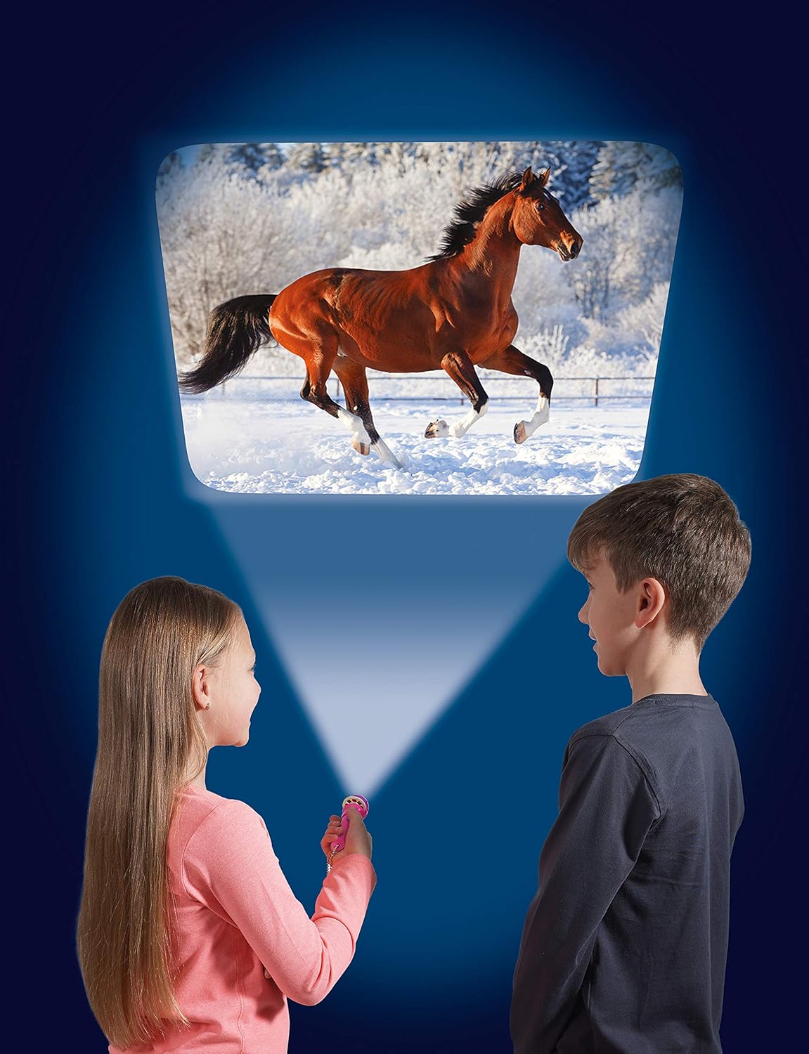 Horse Torch and Projector