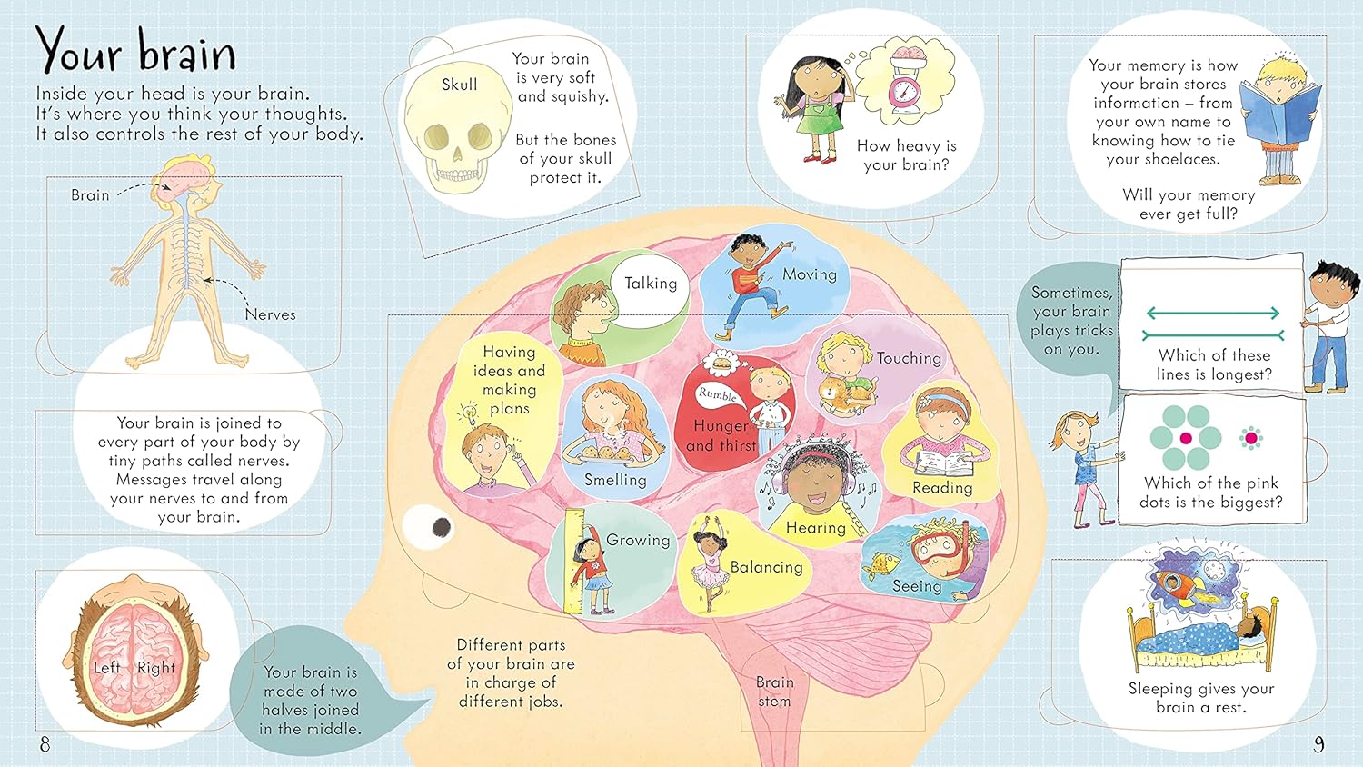 Look Inside Your Body - Lift The Flap