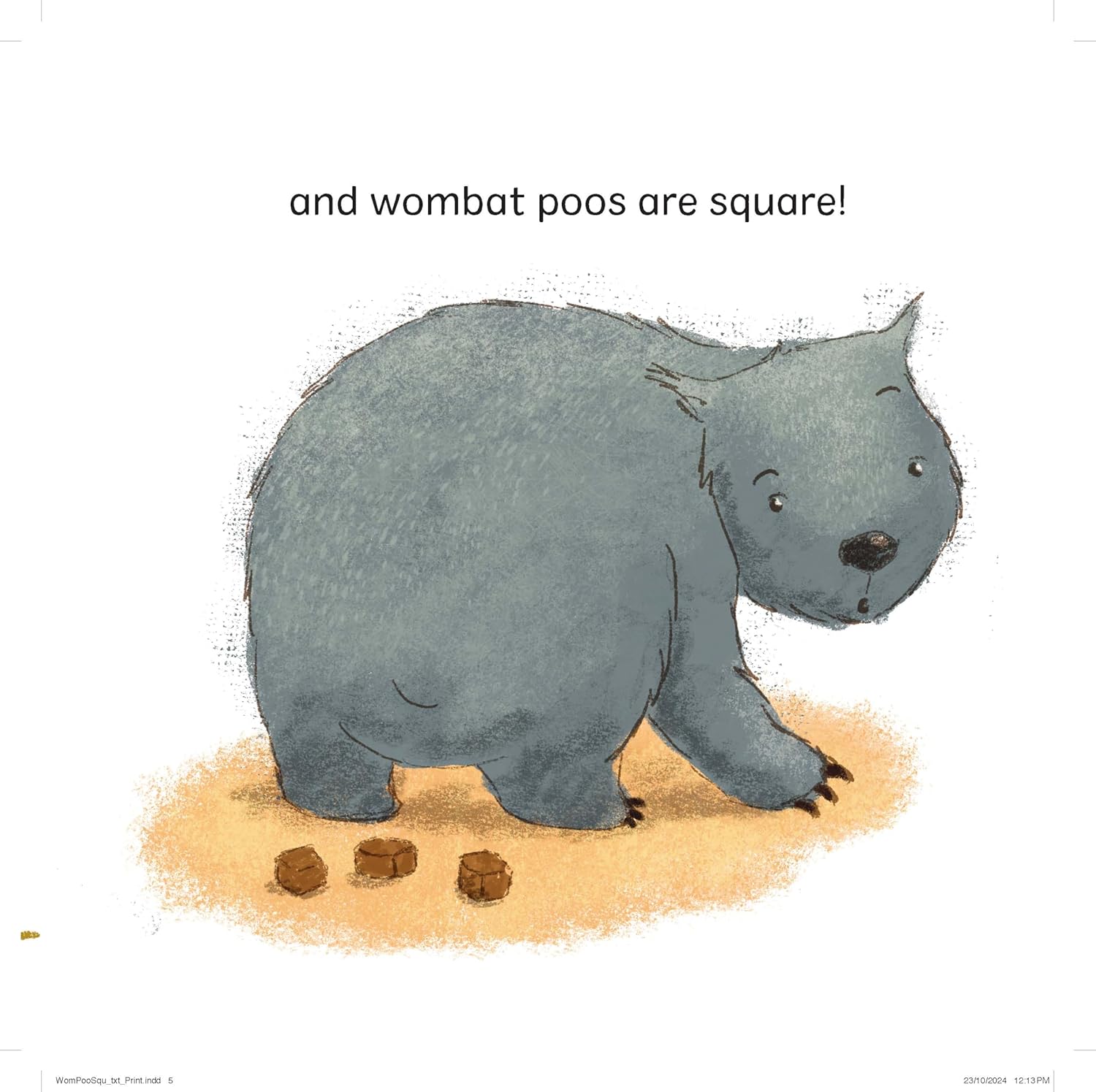 Wombat Poos Are Square