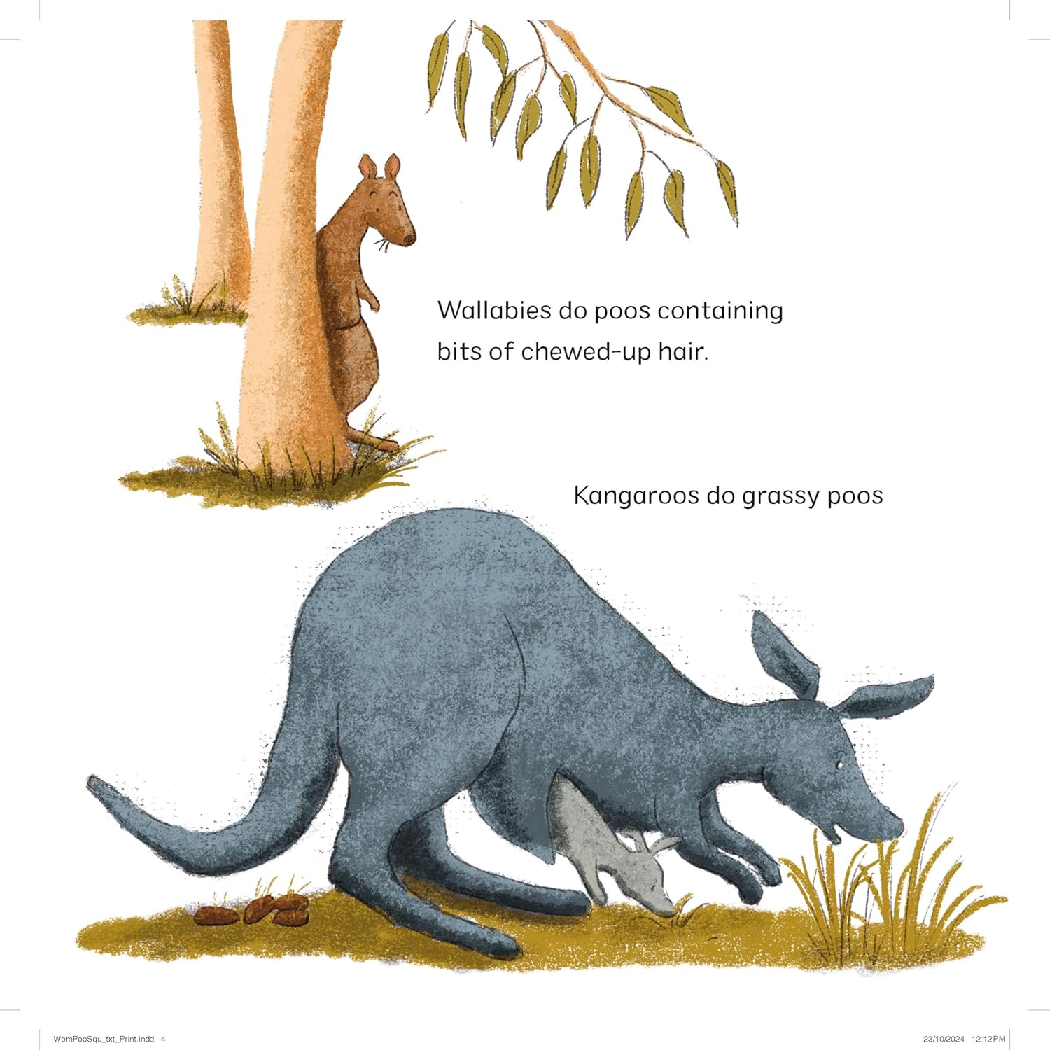 Wombat Poos Are Square