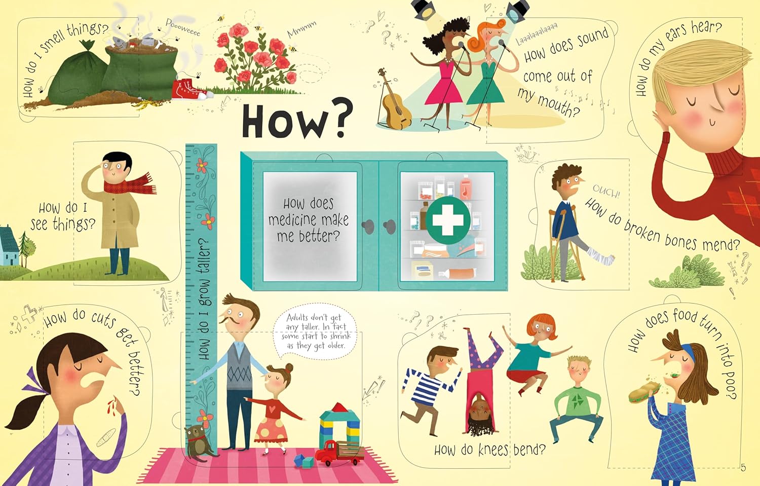 Lift The Flap Questions and Answers - Body