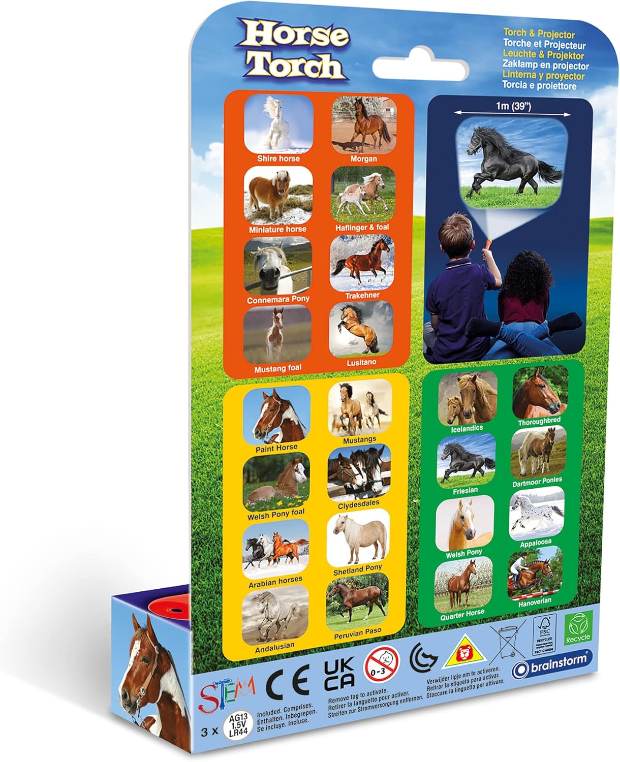 Horse Torch and Projector