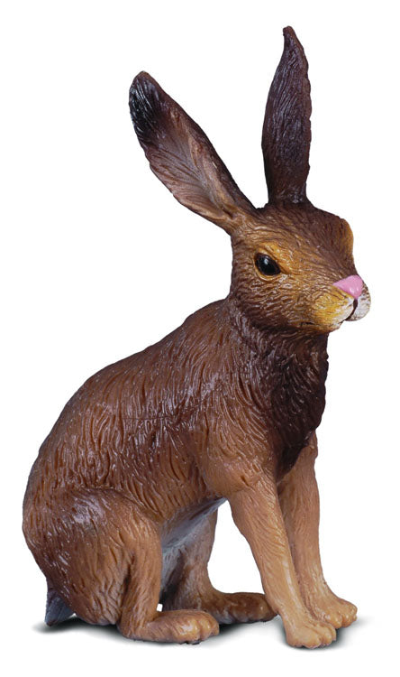 Brown Hare, Small (88012)
