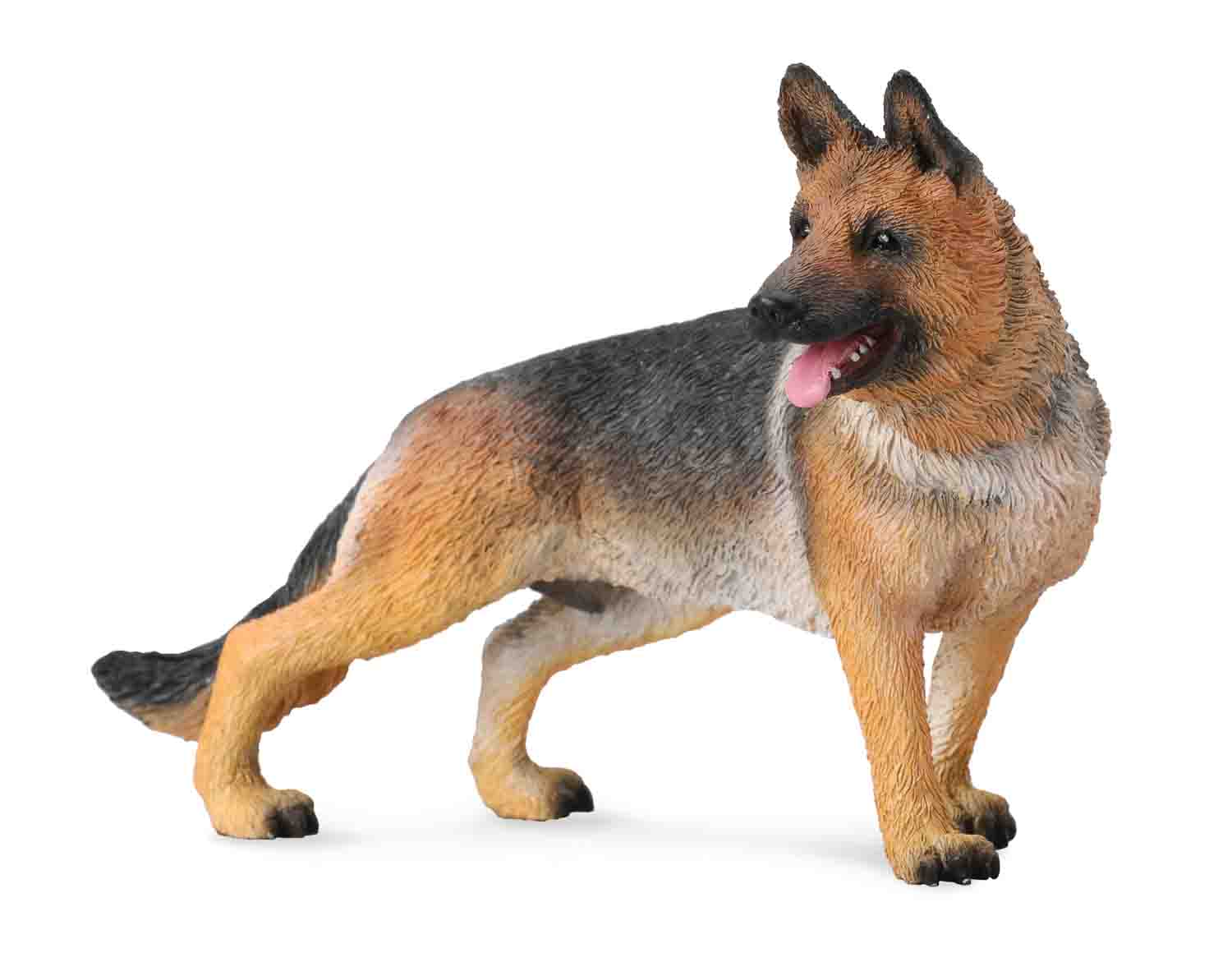 German Shepherd, Large (88552)