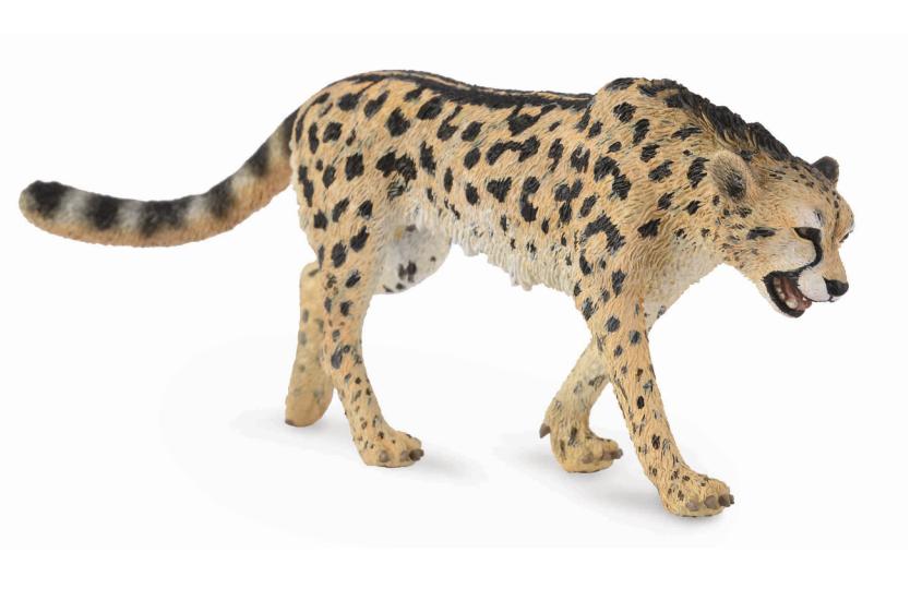 King Cheetah, Large (88608)
