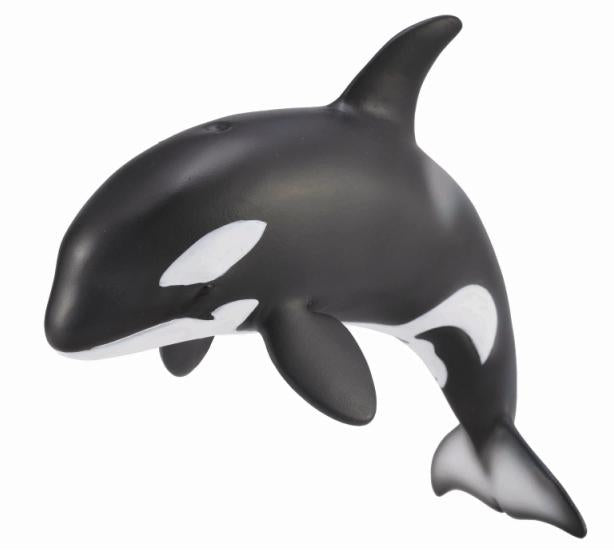 Orca Calf, Medium (88618)