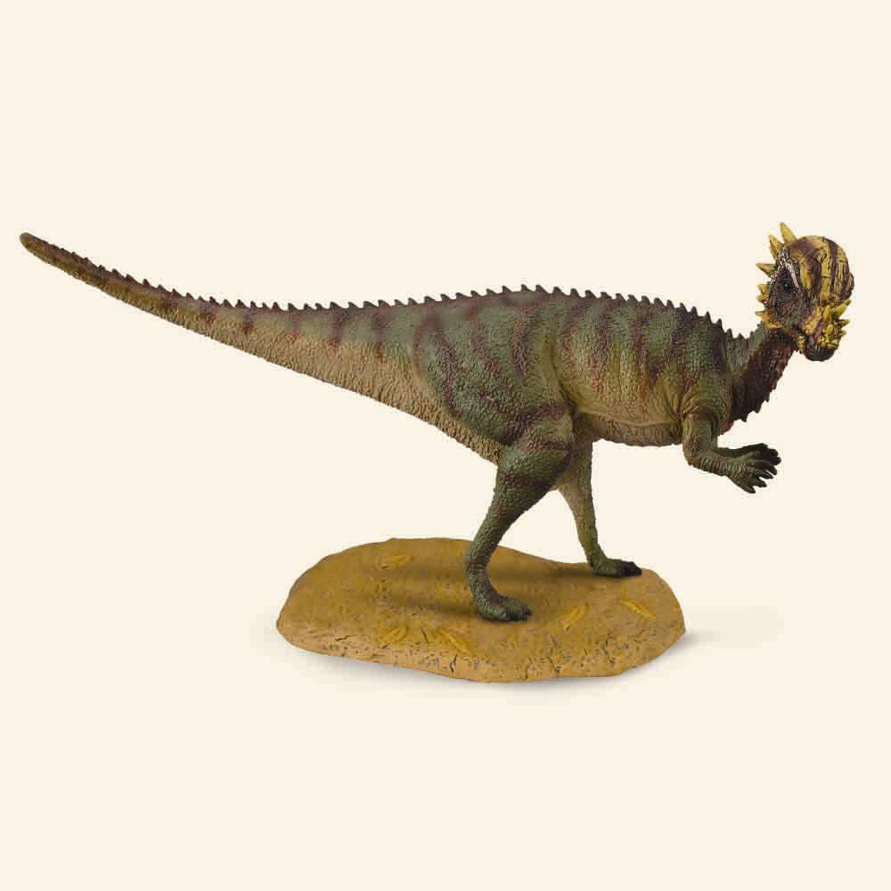 Pachycephalosaurus, Medium (88629)