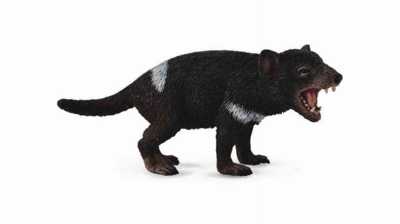 Tasmanian Devil, Medium (88656)