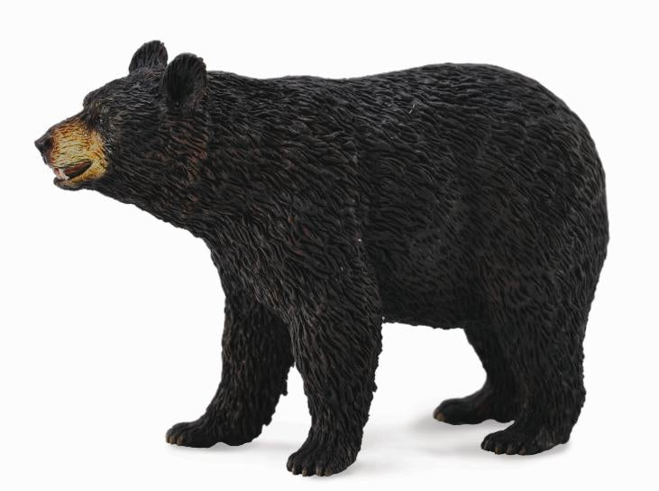 American Black Bear, Large (88698)