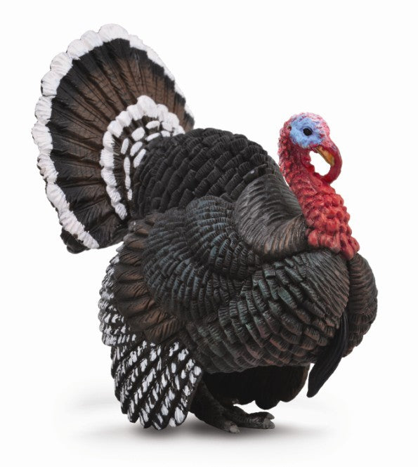 Turkey, Large (88762)